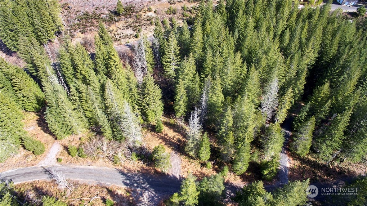 8 Lahar Lane Cougar, WA 98616 - Photo 1 of 26