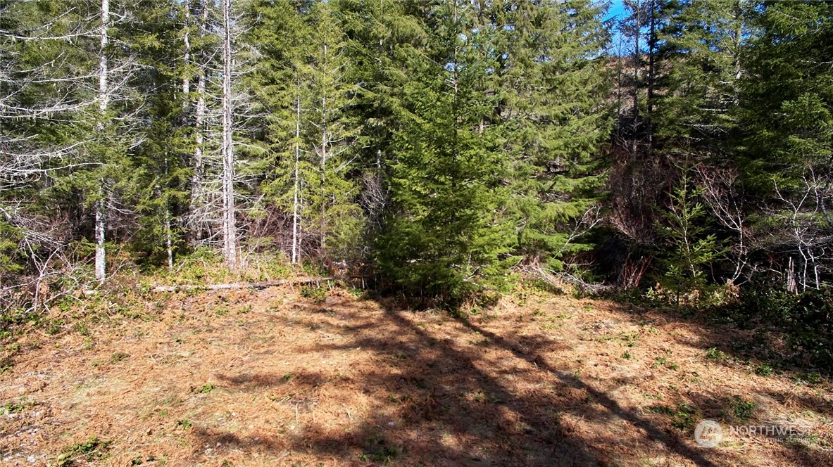 8 Lahar Lane Cougar, WA 98616 - Photo 11 of 26