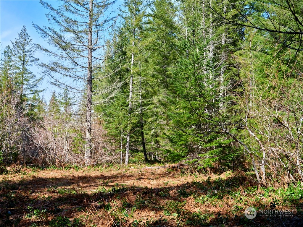 8 Lahar Lane Cougar, WA 98616 - Photo 12 of 26