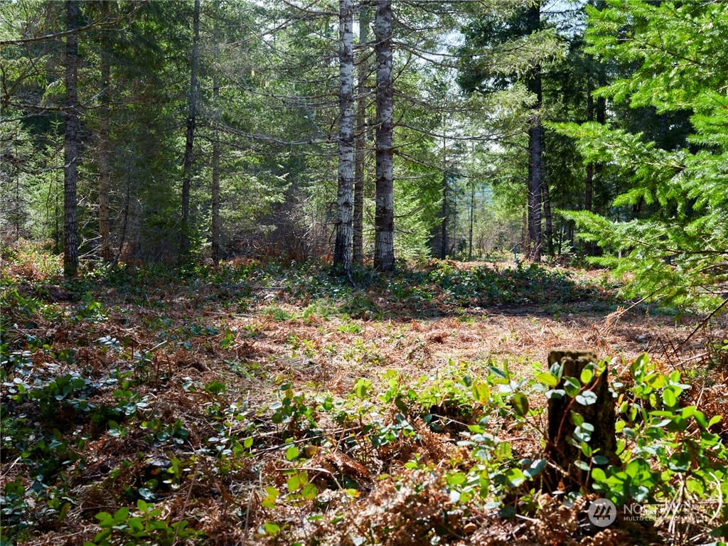 8 Lahar Lane Cougar, WA 98616 - Photo 13 of 26