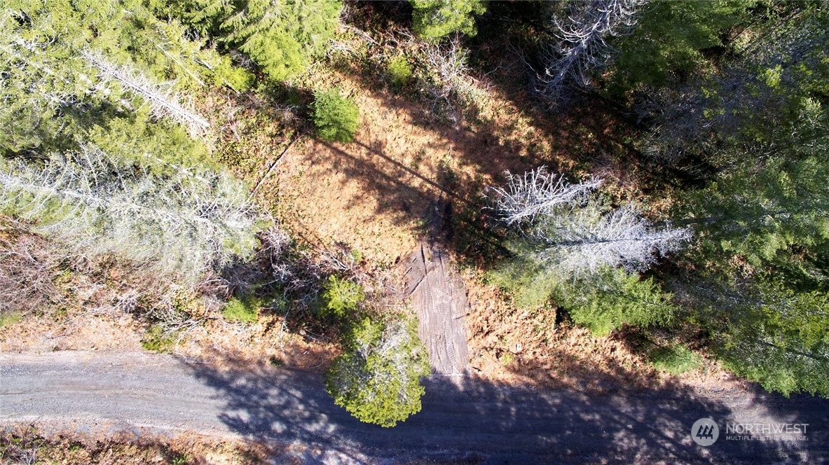 8 Lahar Lane Cougar, WA 98616 - Photo 14 of 26