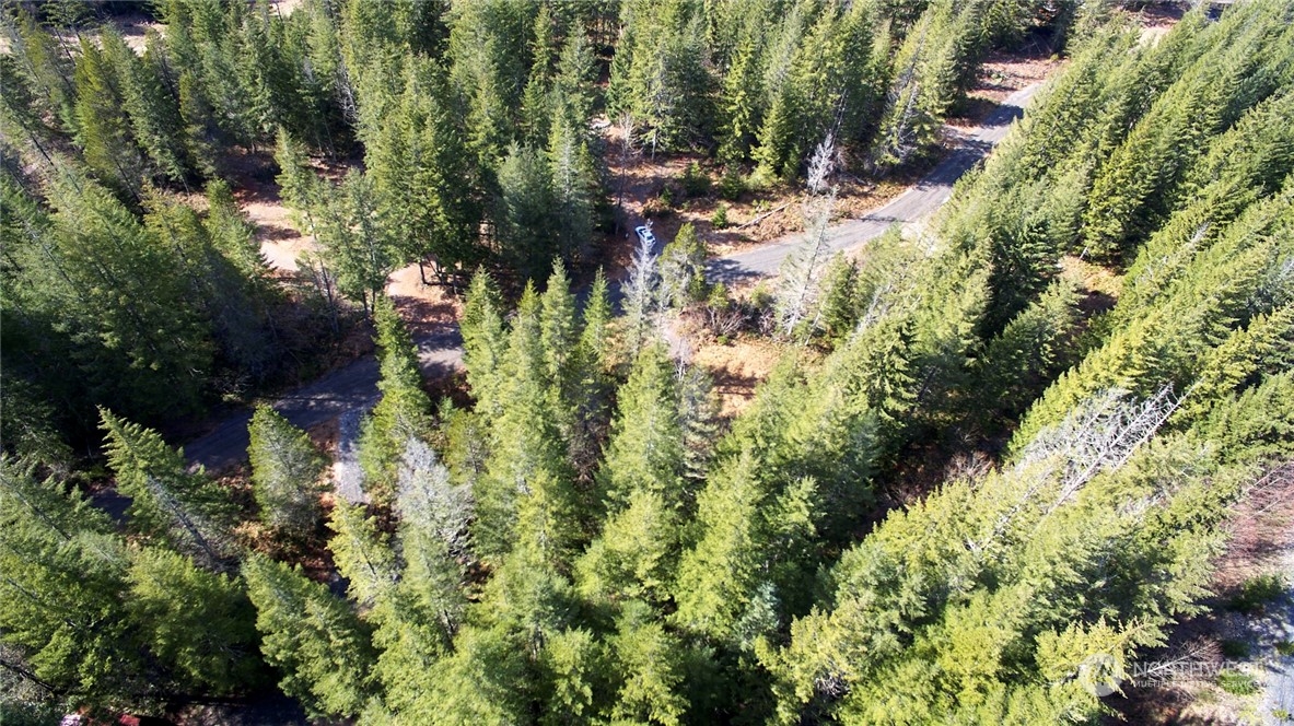 8 Lahar Lane Cougar, WA 98616 - Photo 15 of 26