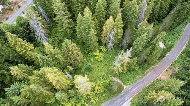 $50,000 | 8 Lahar Lane, Cougar, WA 98616