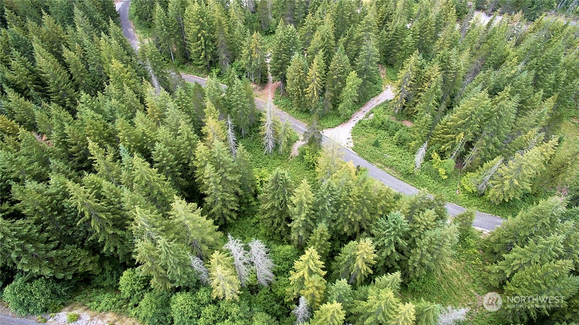 8 Lahar Lane Cougar, WA 98616 - Photo 17 of 26