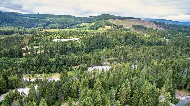 $50,000 | 8 Lahar Lane, Cougar, WA 98616