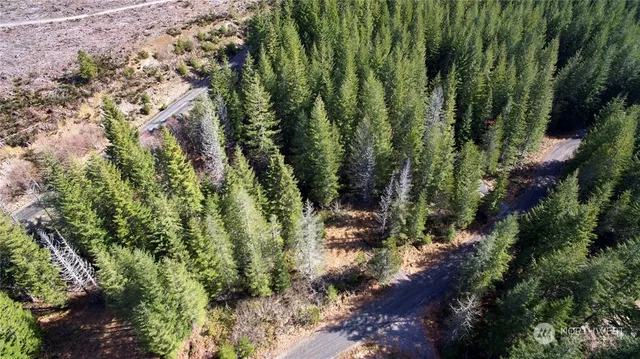 $50,000 | 8 Lahar Lane, Cougar, WA 98616