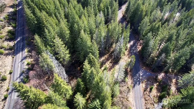 $50,000 | 8 Lahar Lane, Cougar, WA 98616