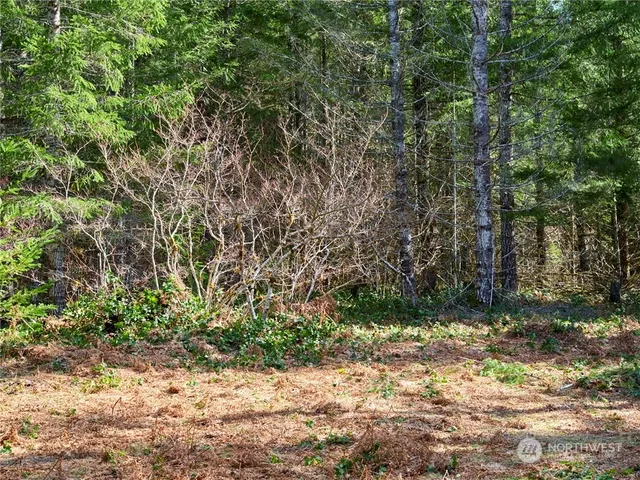 $50,000 | 8 Lahar Lane, Cougar, WA 98616