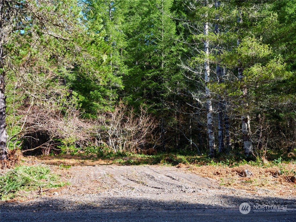 8 Lahar Lane Cougar, WA 98616 - Photo 3 of 26