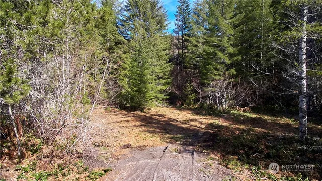 $50,000 | 8 Lahar Lane, Cougar, WA 98616