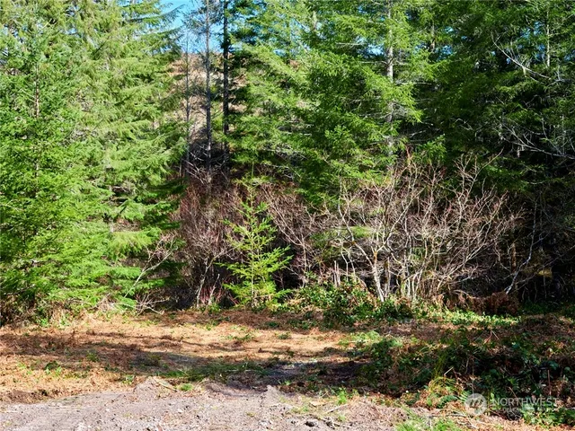 $50,000 | 8 Lahar Lane, Cougar, WA 98616