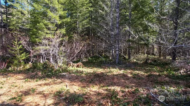 $50,000 | 8 Lahar Lane, Cougar, WA 98616