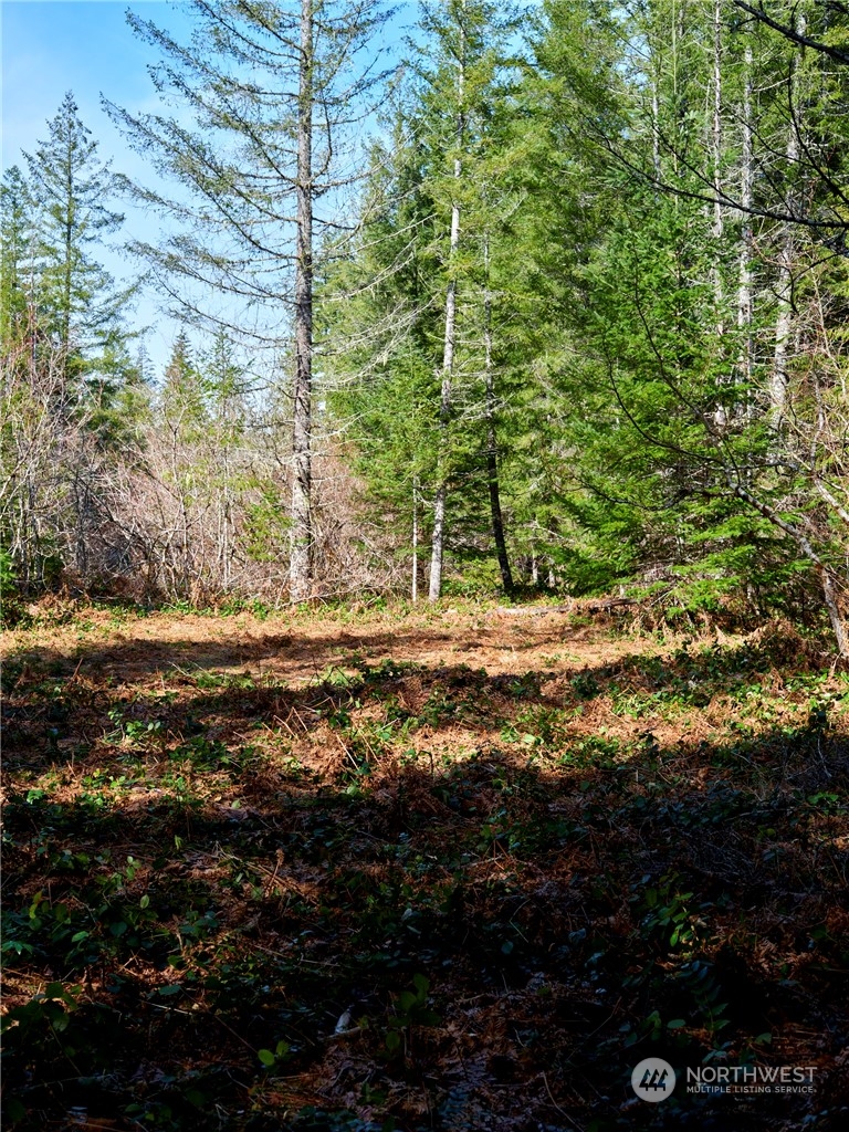 8 Lahar Lane Cougar, WA 98616 - Photo 10 of 26