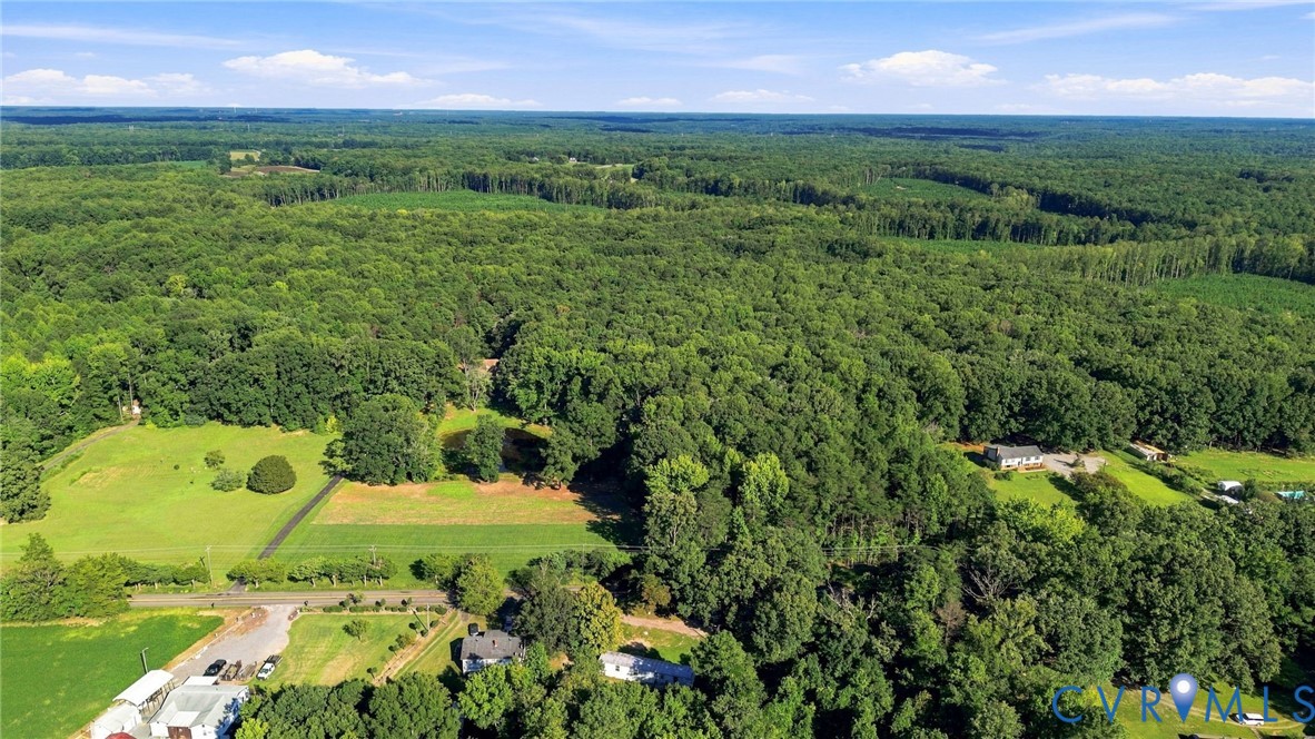 Expansive wooded acreage featuring scattered clear
