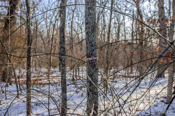 $4,500 | 173 Hickory Drive, Cuba, MO 65453