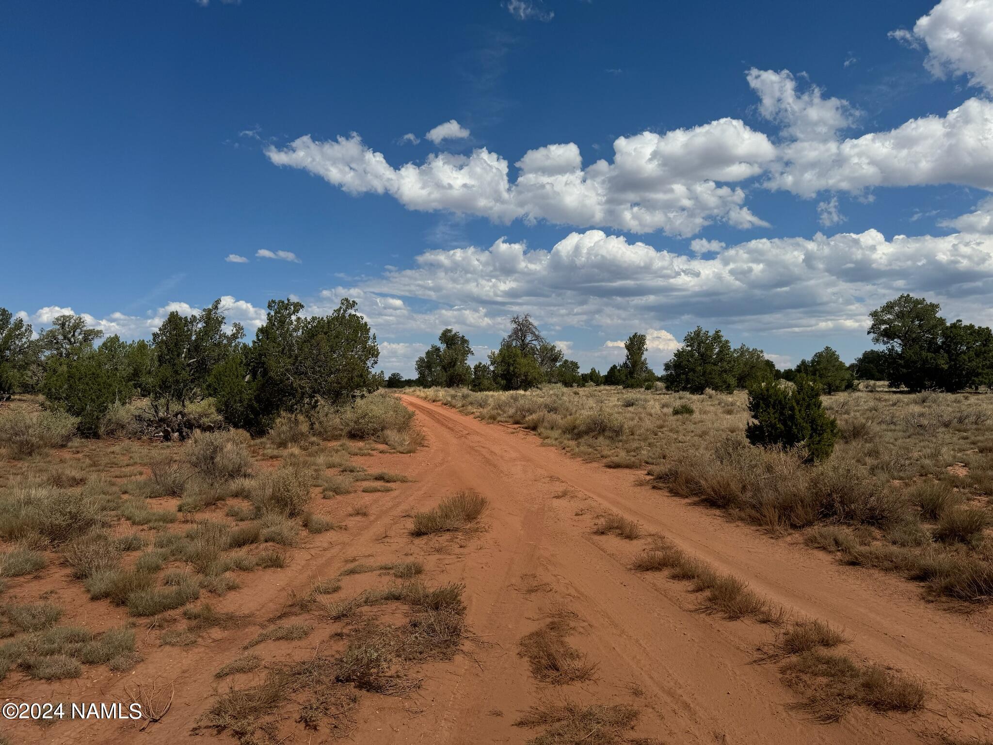 196 South Kaibab Road Williams, AZ 86046 - Photo 13 of 14 a view of a dry yard