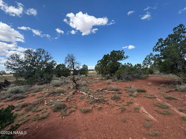a view of a big yard with an outdoor space and seating