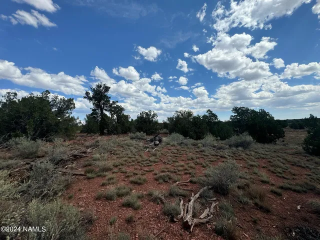 a view of a dry yard