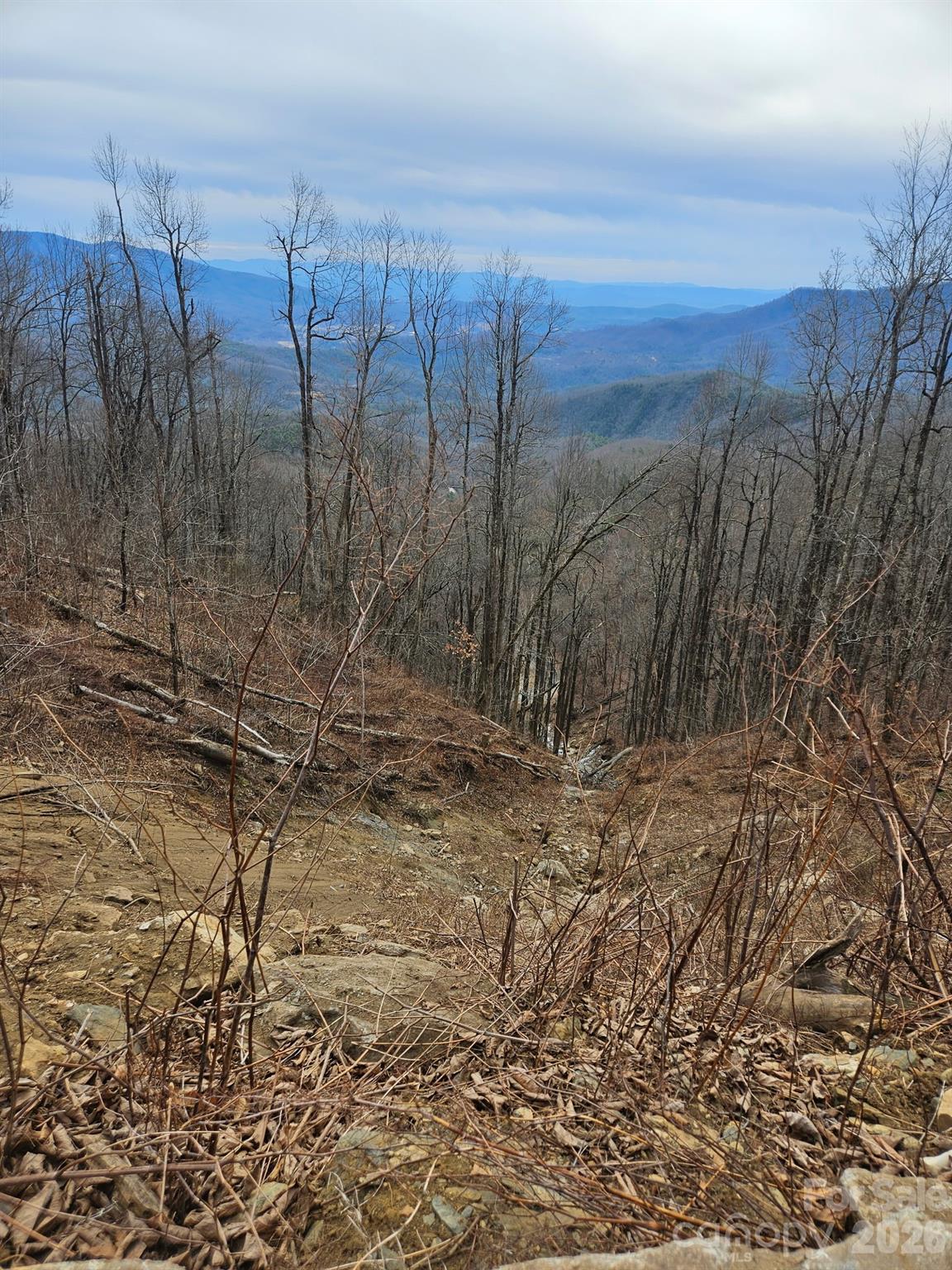 Tbd Tbd Osborne Knob Road Marion, NC 28752 - Photo 11 of 19 a view of a yard with wooden fence