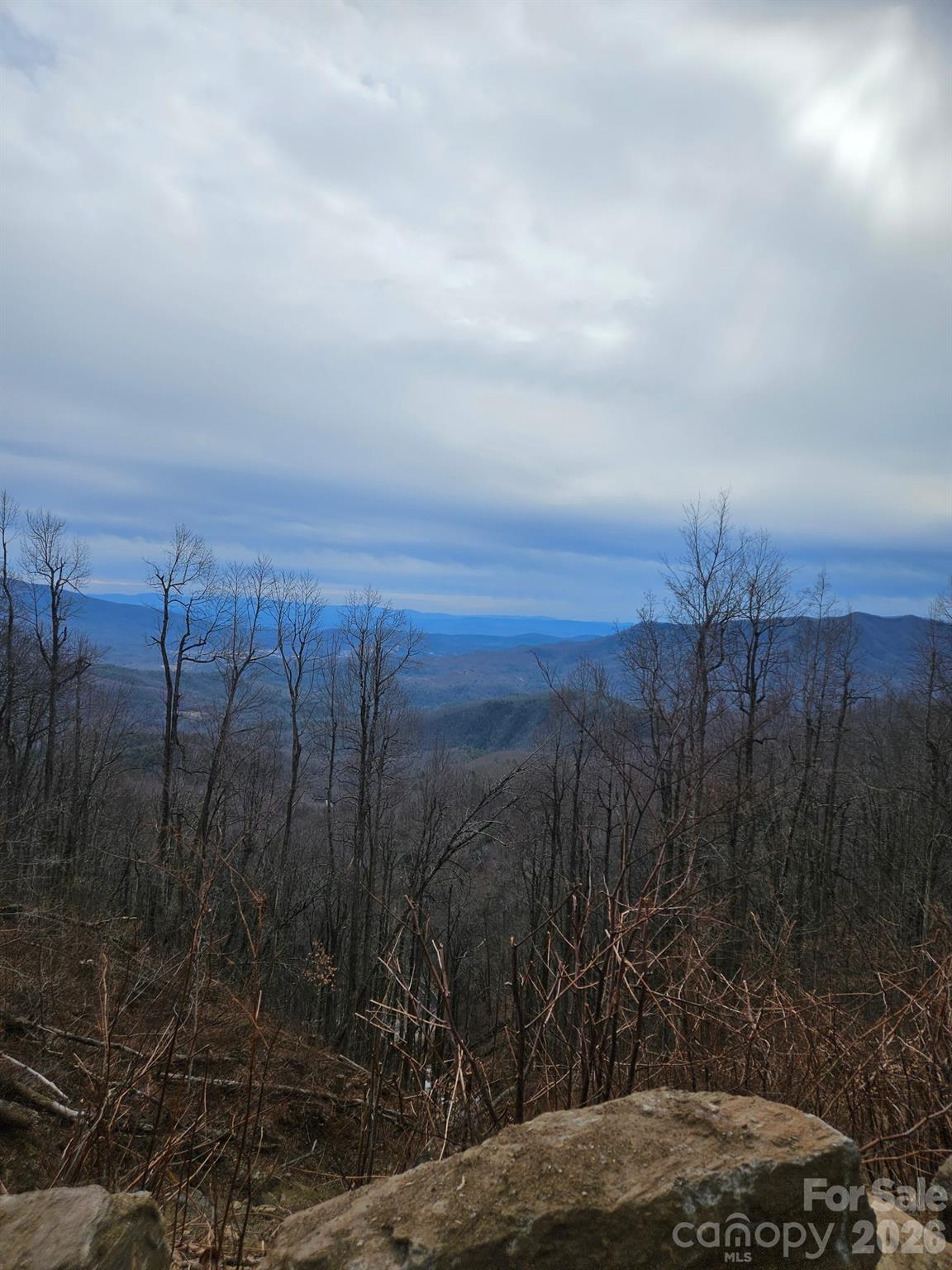 Tbd Tbd Osborne Knob Road Marion, NC 28752 - Photo 13 of 19