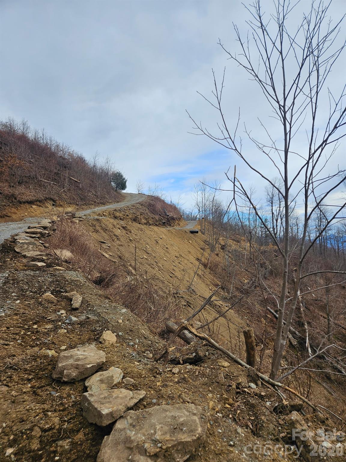Tbd Tbd Osborne Knob Road Marion, NC 28752 - Photo 14 of 19