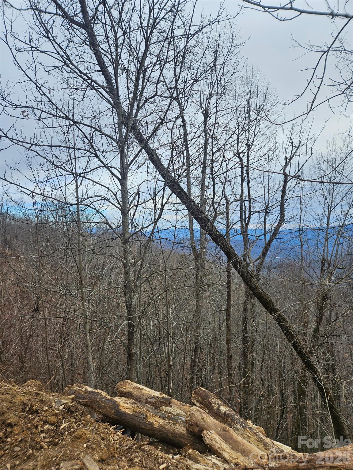 Tbd Tbd Osborne Knob Road Marion, NC 28752 - Photo 17 of 19 a backyard of a house with large trees