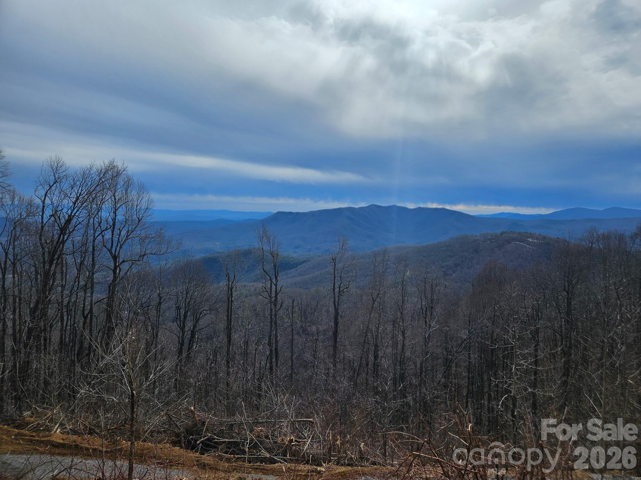 Tbd Tbd Osborne Knob Road Marion, NC 28752 - Photo 2 of 19 a view of a yard with wooden fence