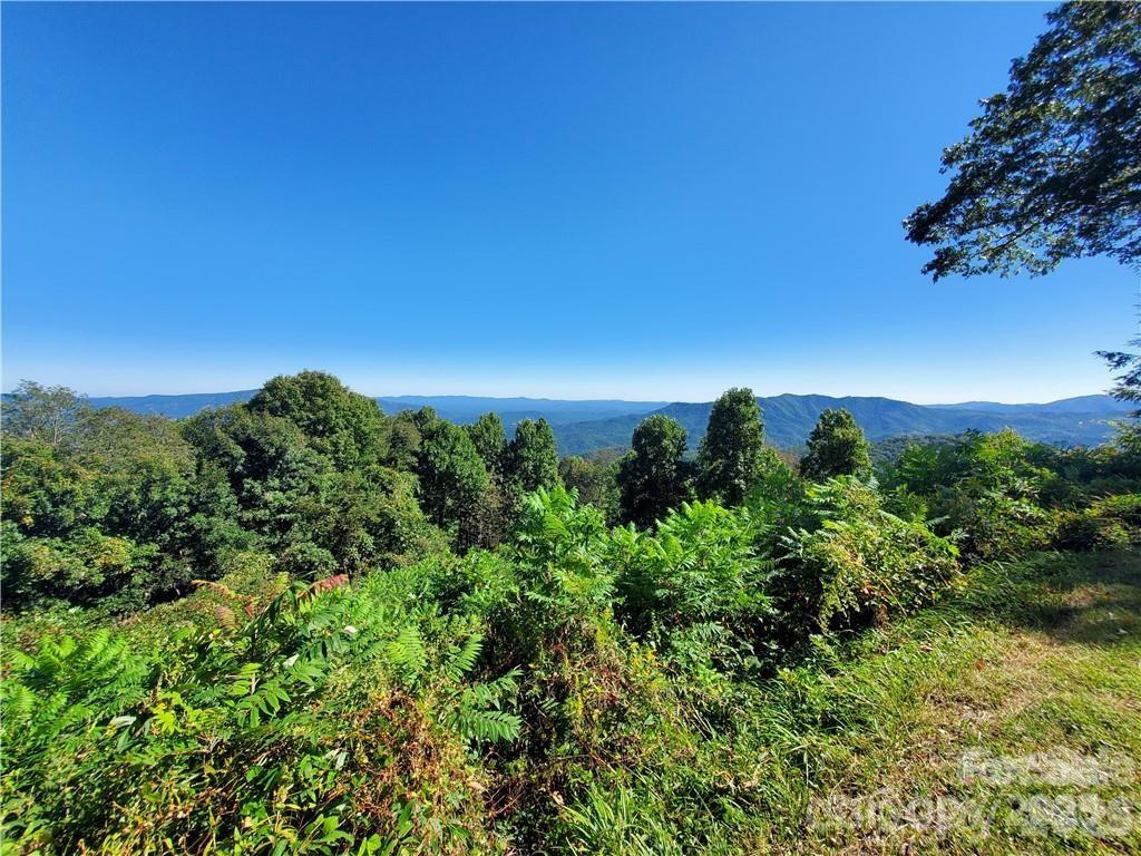 Tbd Tbd Osborne Knob Road Marion, NC 28752 - Photo 5 of 19 a view of a city