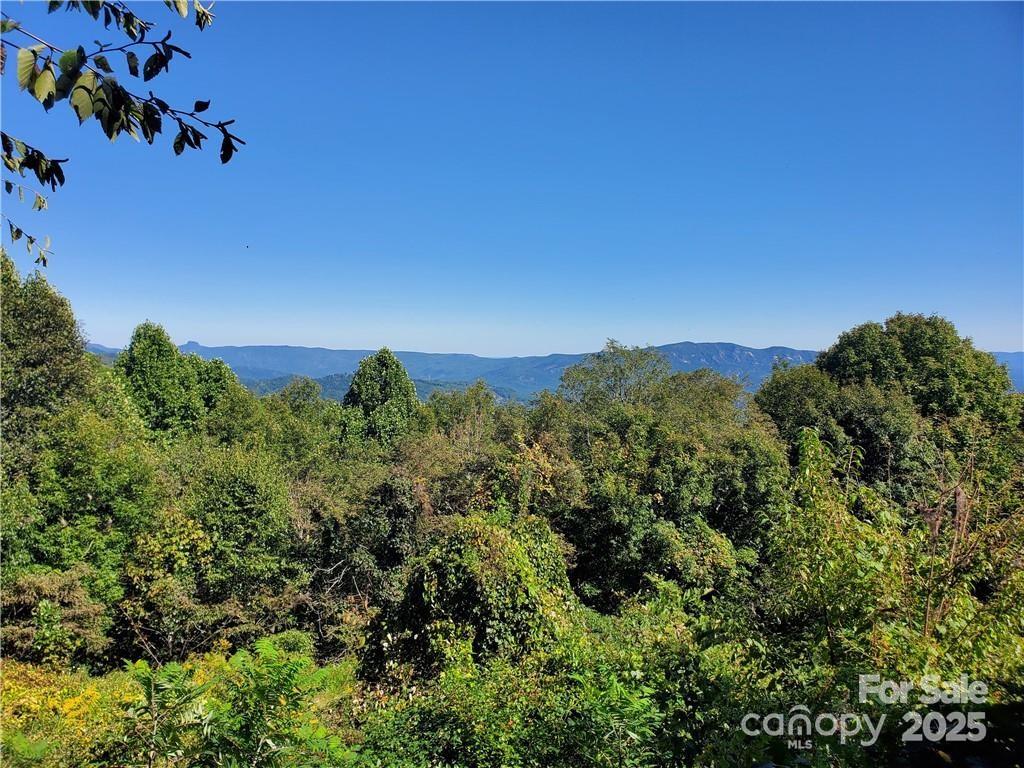 Tbd Tbd Osborne Knob Road Marion, NC 28752 - Photo 5 of 8 an aerial view of a house with a yard