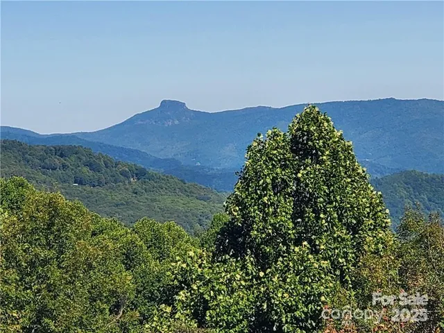 a view of a lush green mountain