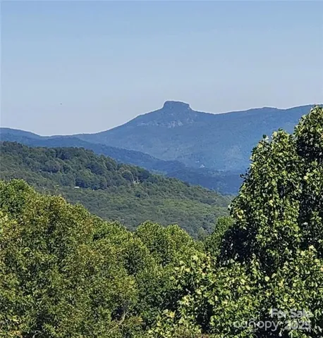 a view of a lush green hillside and a building