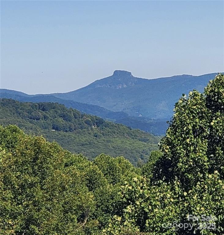Tbd Tbd Osborne Knob Road Marion, NC 28752 - Photo 7 of 8 a view of a lush green hillside and a building