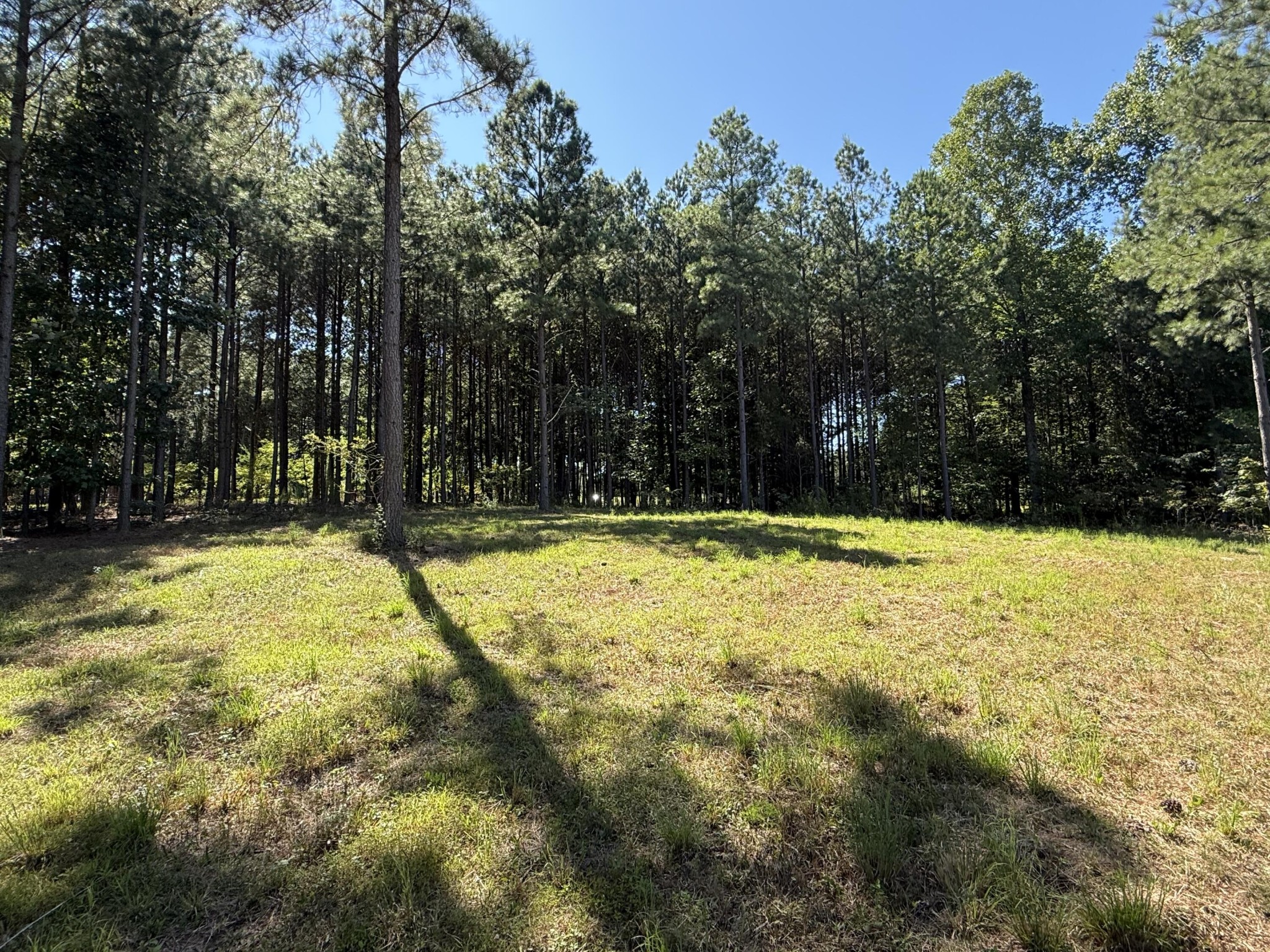 350 Crockett Loop Jasper, TN 37347 - Photo 22 of 53