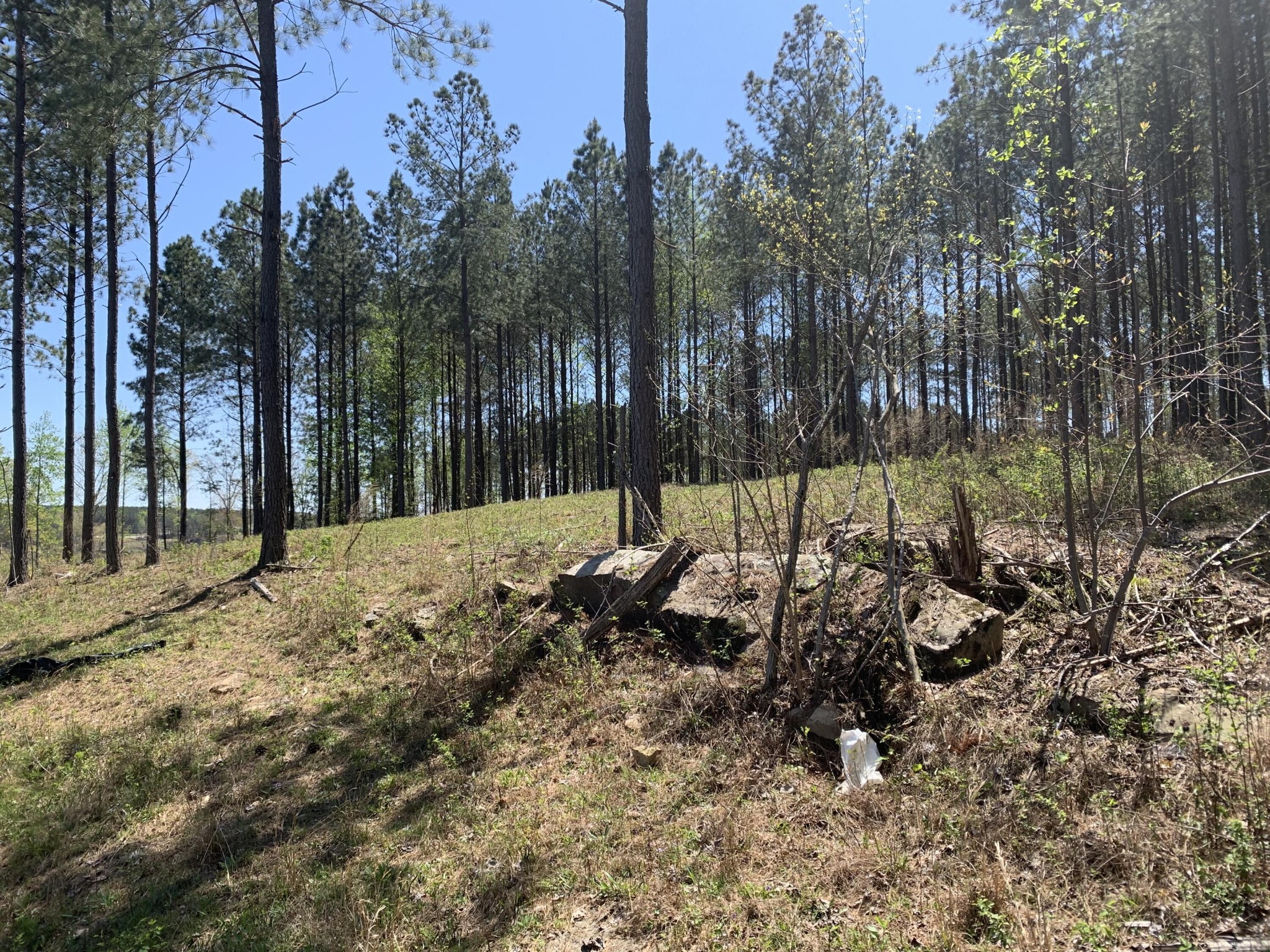 350 Crockett Loop Jasper, TN 37347 - Photo 9 of 53