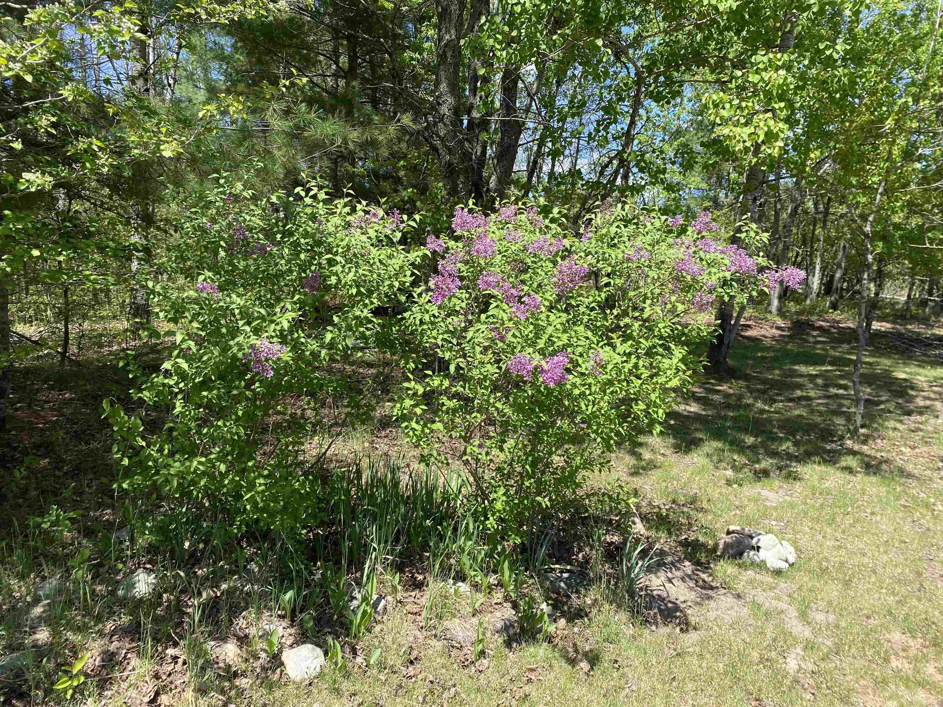 12463 Mueller Road Southwest Fife Lake, MI 49633 - Photo 26 of 92 1900135-25.JPG