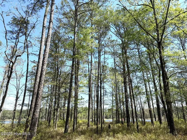 $79,900 | Lot 18 Davis Lane, Belhaven, NC 27810