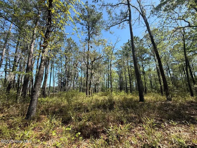 $79,900 | Lot 18 Davis Lane, Belhaven, NC 27810