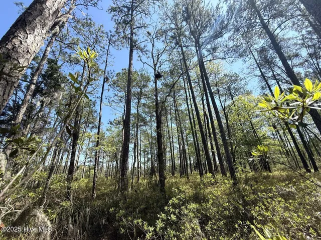 $79,900 | Lot 18 Davis Lane, Belhaven, NC 27810