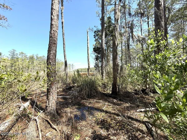 $79,900 | Lot 18 Davis Lane, Belhaven, NC 27810