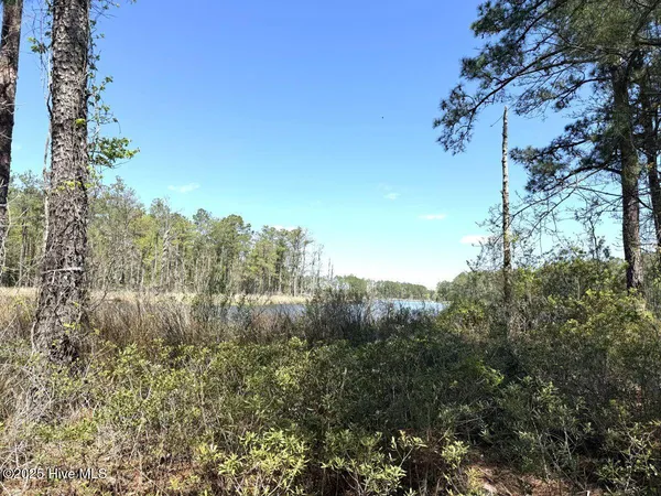 $79,900 | Lot 18 Davis Lane, Belhaven, NC 27810