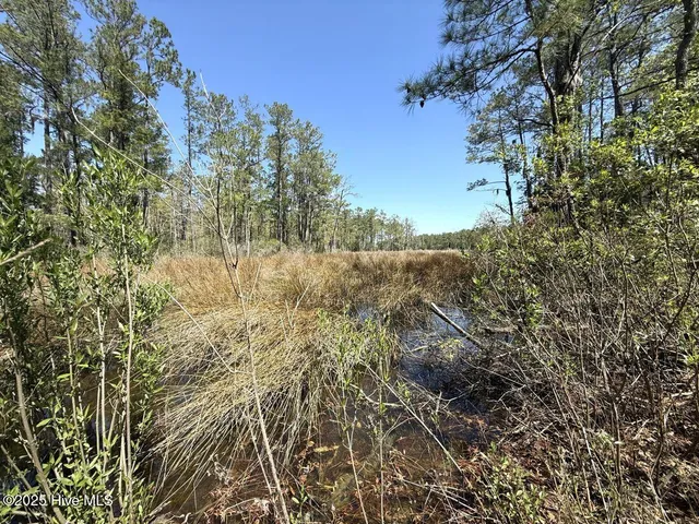 $79,900 | Lot 18 Davis Lane, Belhaven, NC 27810