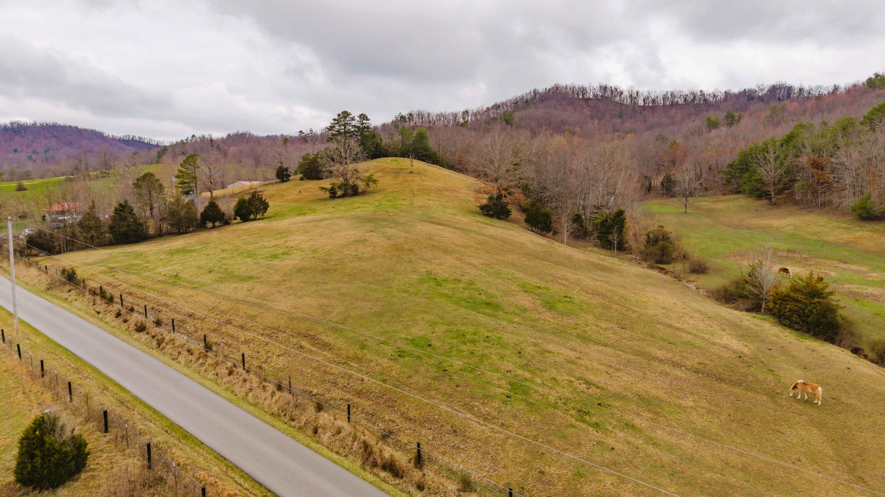 2630 Pine Grove Road Olympia, KY 40358 - Photo 1 of 8 2630 Pine Grove Road-69