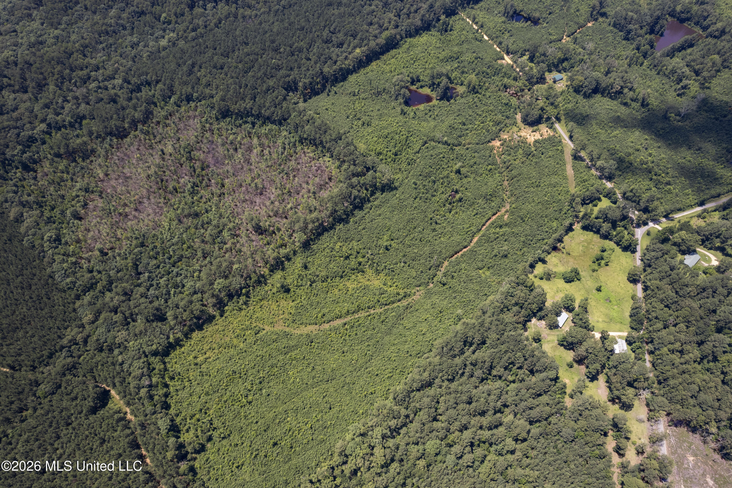 13 Co Road Louin, MS 39338 - Photo 19 of 29 DJI_0318