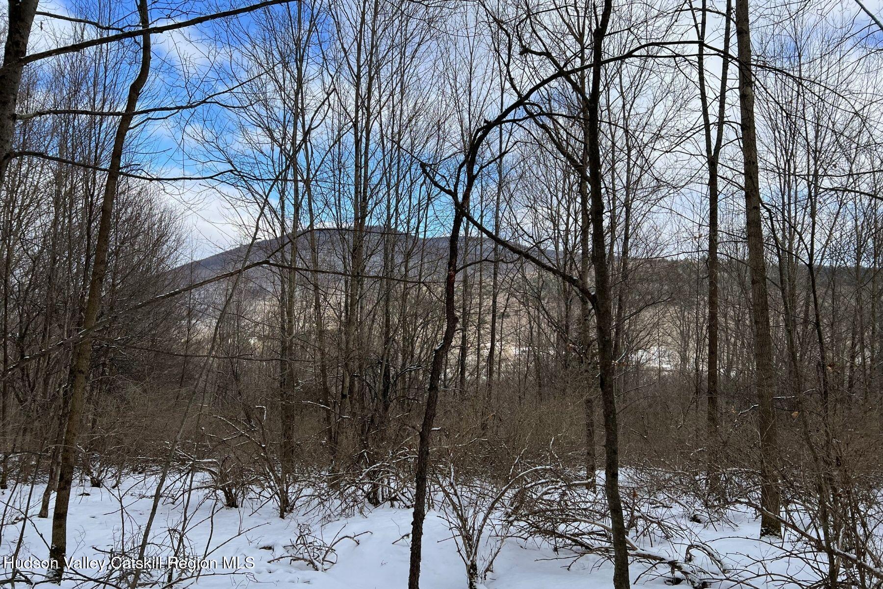 8-11 Henry Williams Road Roxbury, NY 12474 - Photo 15 of 23 15