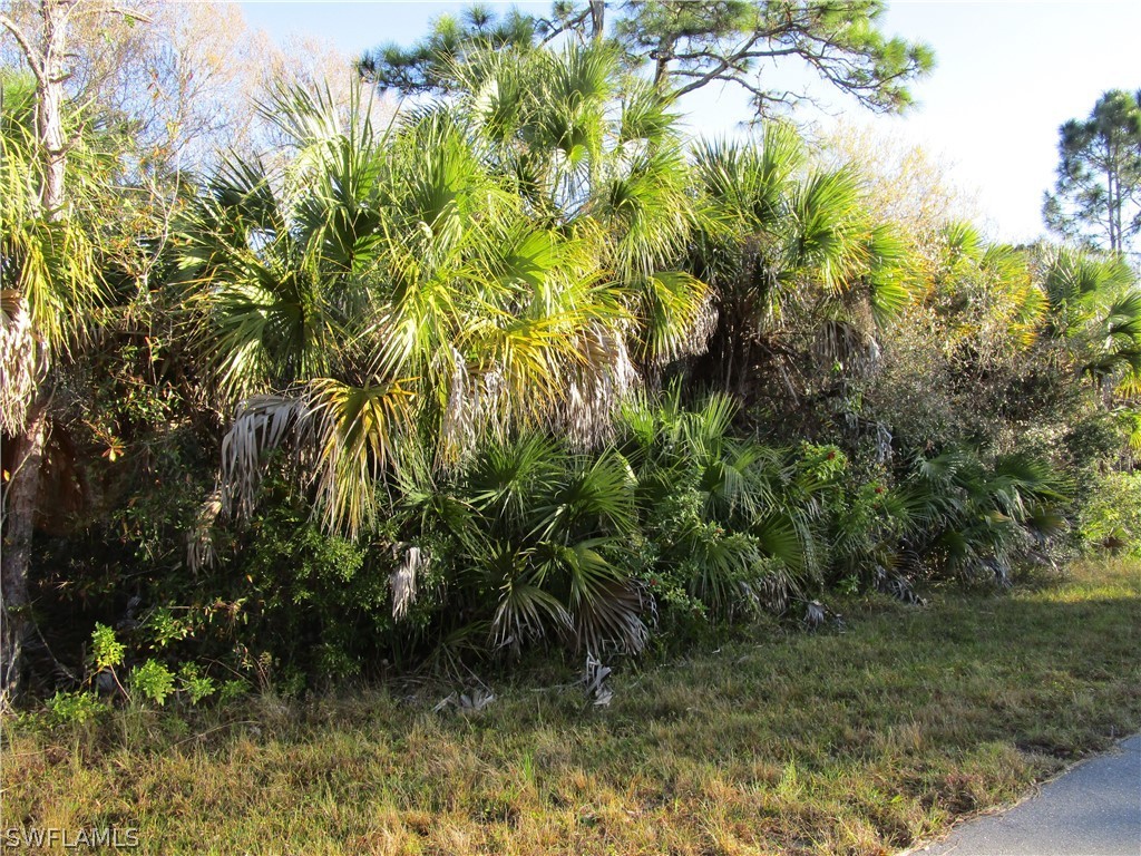 26192 Deer Road Punta Gorda, FL 33955 - Photo 3 of 6 a view of a yard