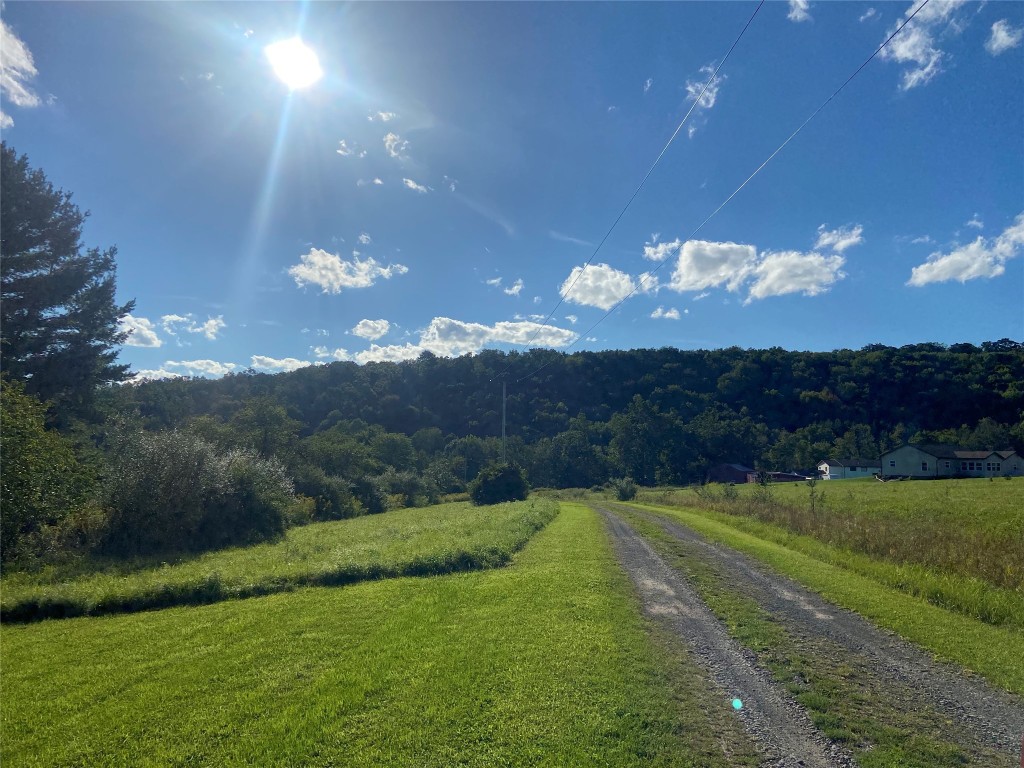 241 Newman Road Newark Valley, NY 13811 - Photo 22 of 24 Gallery Image 22
