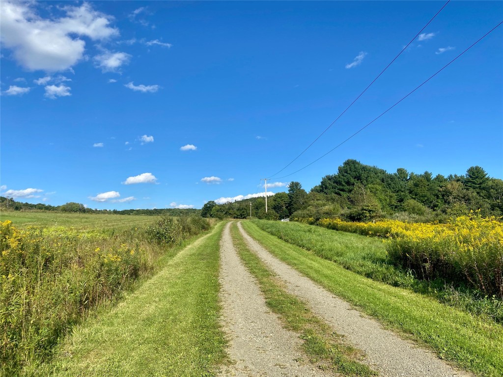 241 Newman Road Newark Valley, NY 13811 - Photo 23 of 24 Gallery Image 23