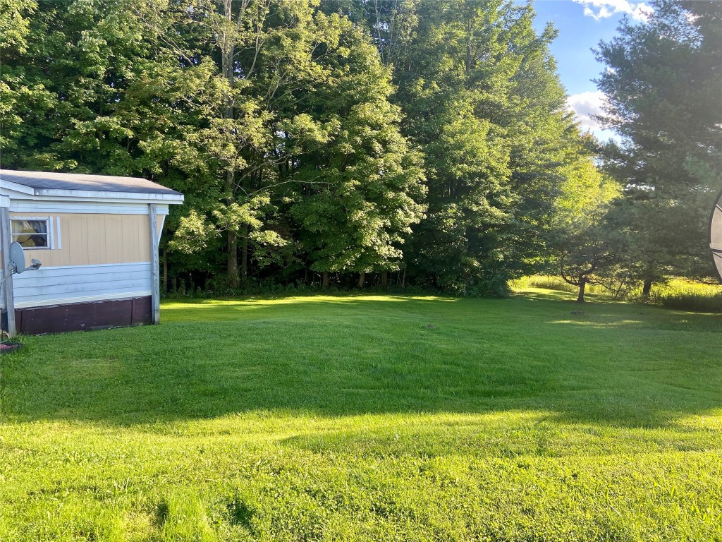 241 Newman Road Newark Valley, NY 13811 - Photo 3 of 24 Gallery Image 3