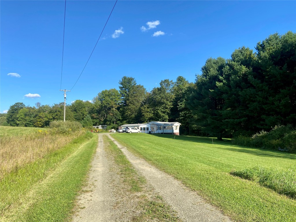 241 Newman Road Newark Valley, NY 13811 - Photo 4 of 24 Gallery Image 4