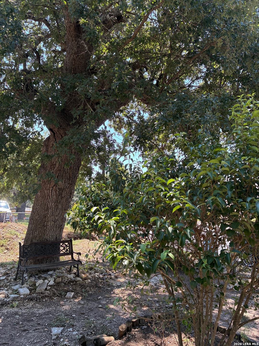 314 East Bandera Road Boerne, TX 78006 - Photo 2 of 8 a picture of tree